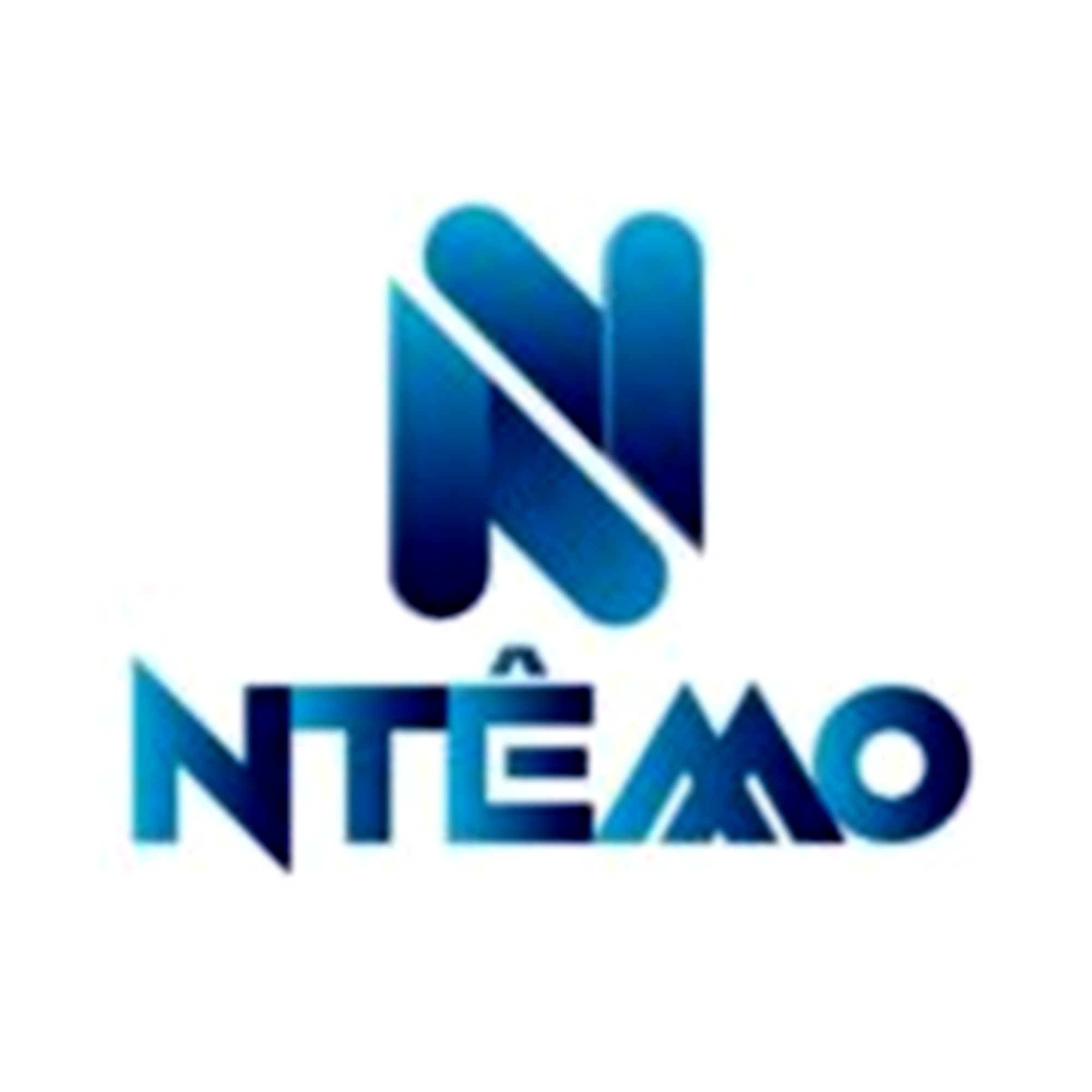 NTEMO Consulting Logo