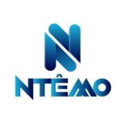 NTEMO Consulting Logo